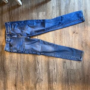 American Eagle Outfitters Blue Skinny Jeans